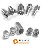 金剛澳龍公司 創(chuàng)新汽車(chē)附件的研發(fā)與批發(fā)